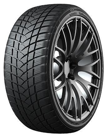 ���� ���� GT Radial WinterPro 2 Sport